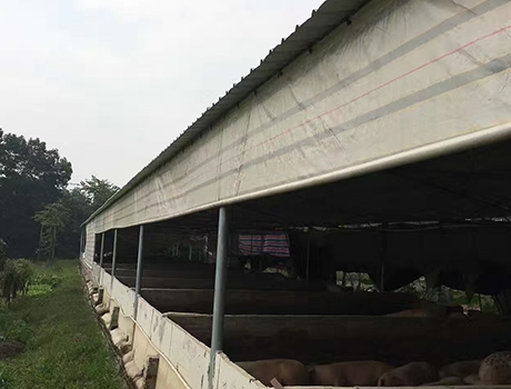 遮陽雨篷為蜜桃AV一区二区精品无码的生活舔磚加瓦